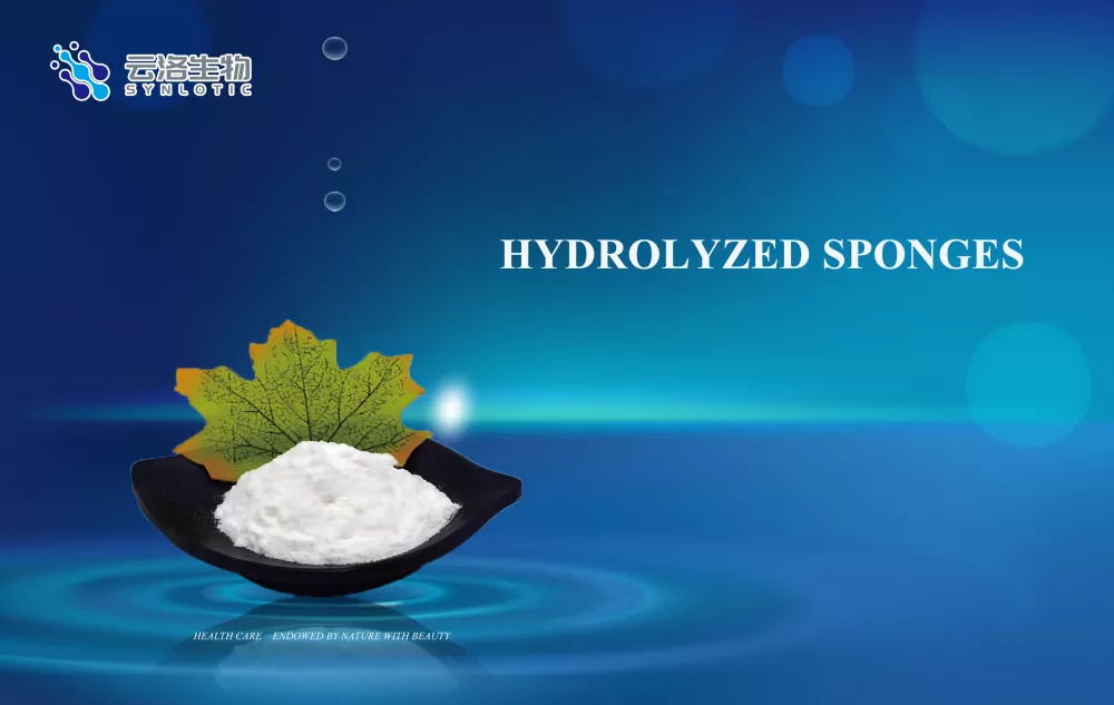 Spons Hidrolisis: Teknologi Perawatan Kulit yang Melembabkan dan Elastis dari Laut Dalam