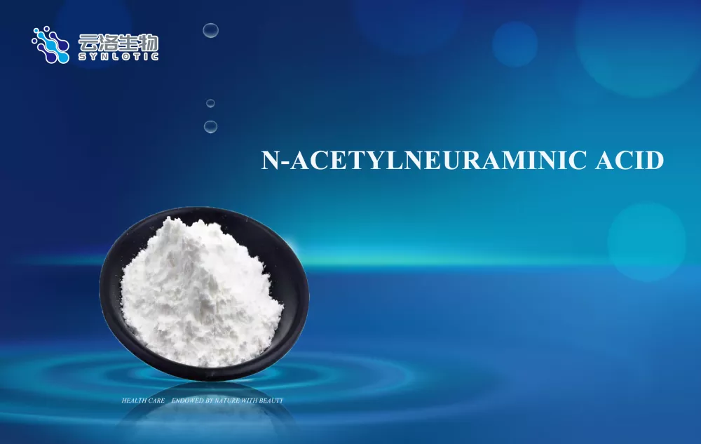 Asam N-asetilneuraminiat
